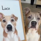 The PawEver™ Portrait Lamp